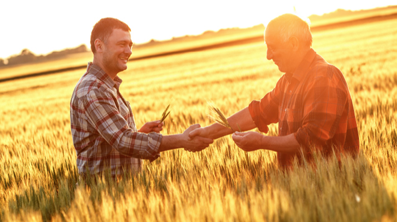 Tarımsal Danışmanlık