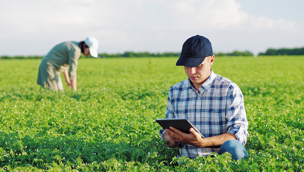 Ürün Teslimat Hizmeti