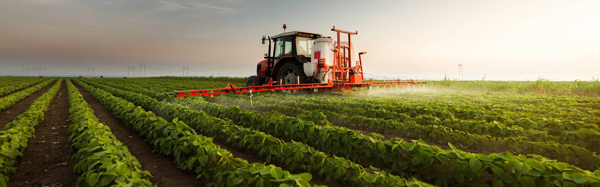 Sağlık Üretimden Başlar