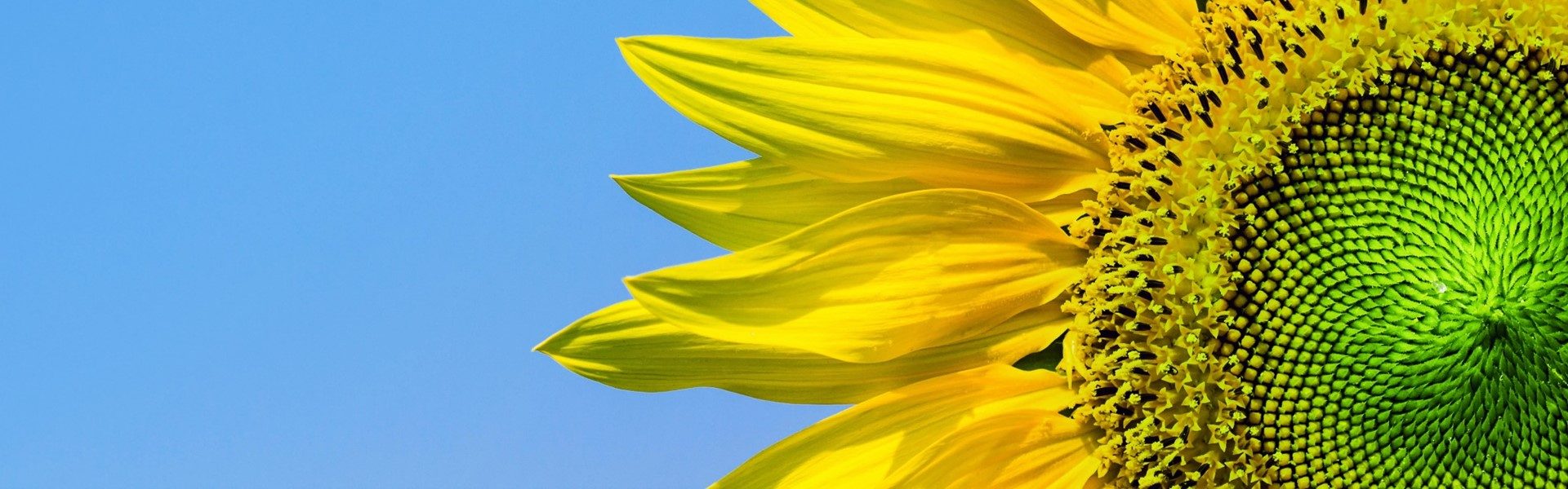 Tarım Doğru Araçlarla Yeşerir